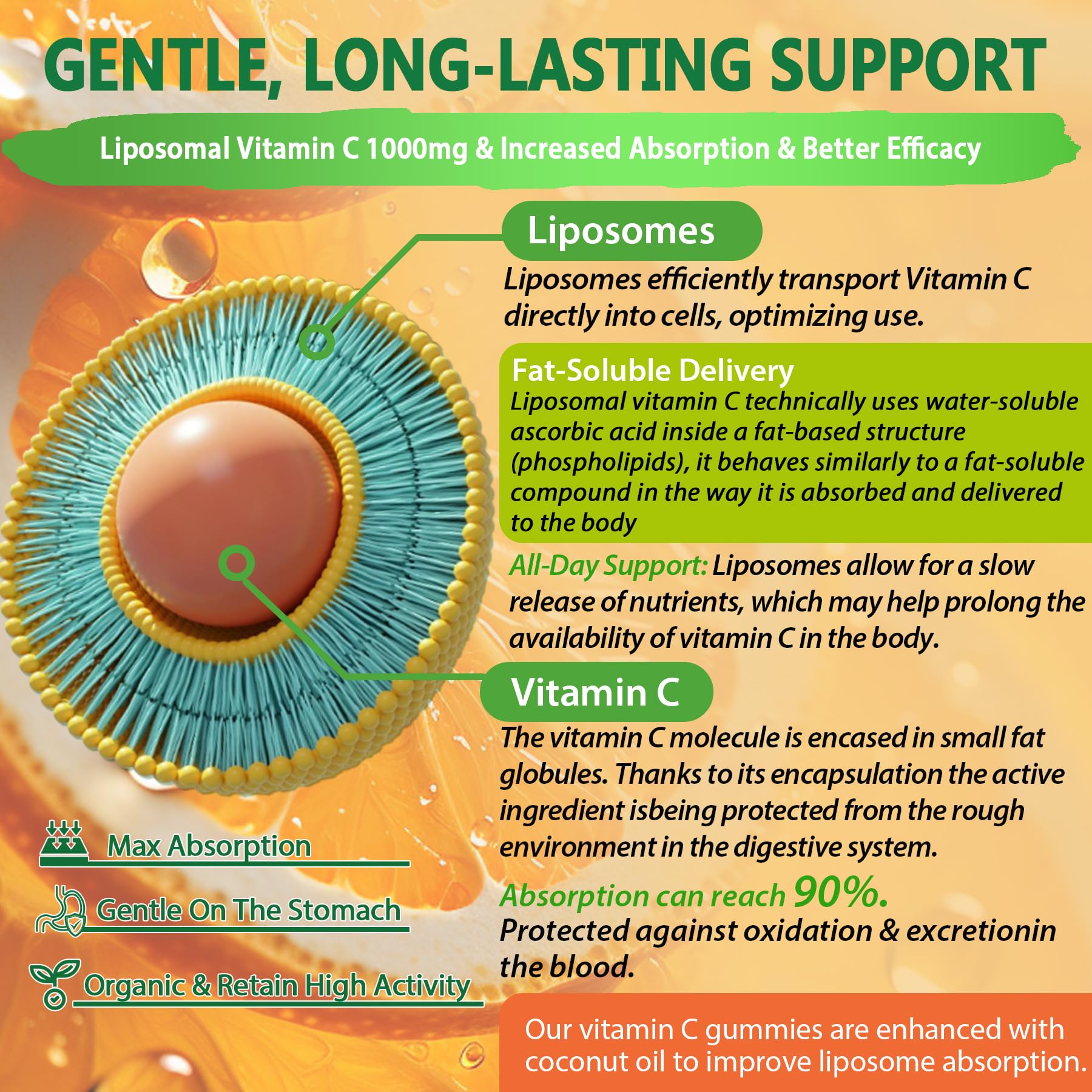 Ingredients including elderberry zinc and iron