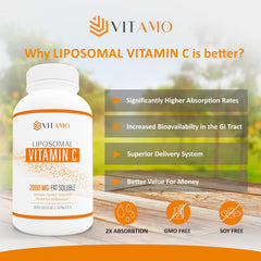 Graphic representation of liposome delivery technology