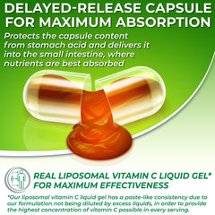 Sunflower lecithin ingredient visual for liposomal Vitamin C