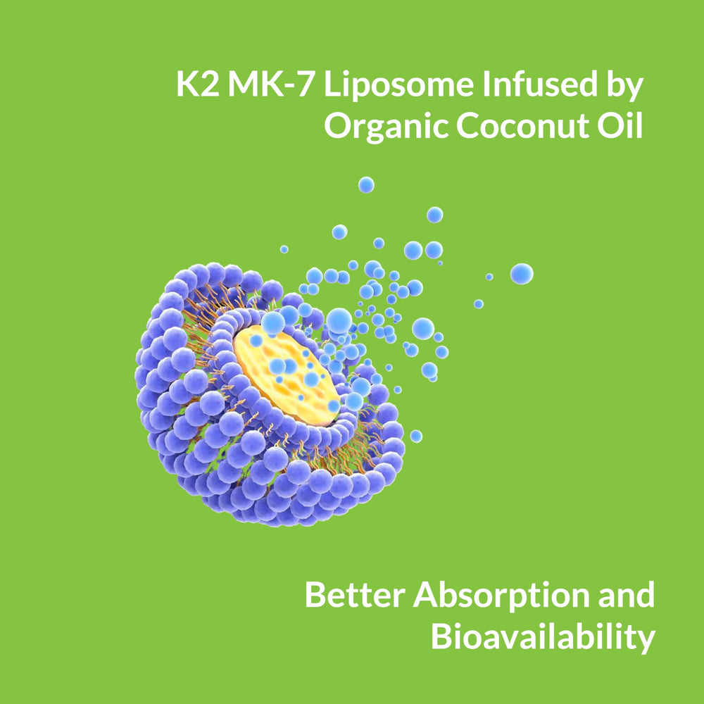Liposomal Vitamin K2 MK7 absorption illustration