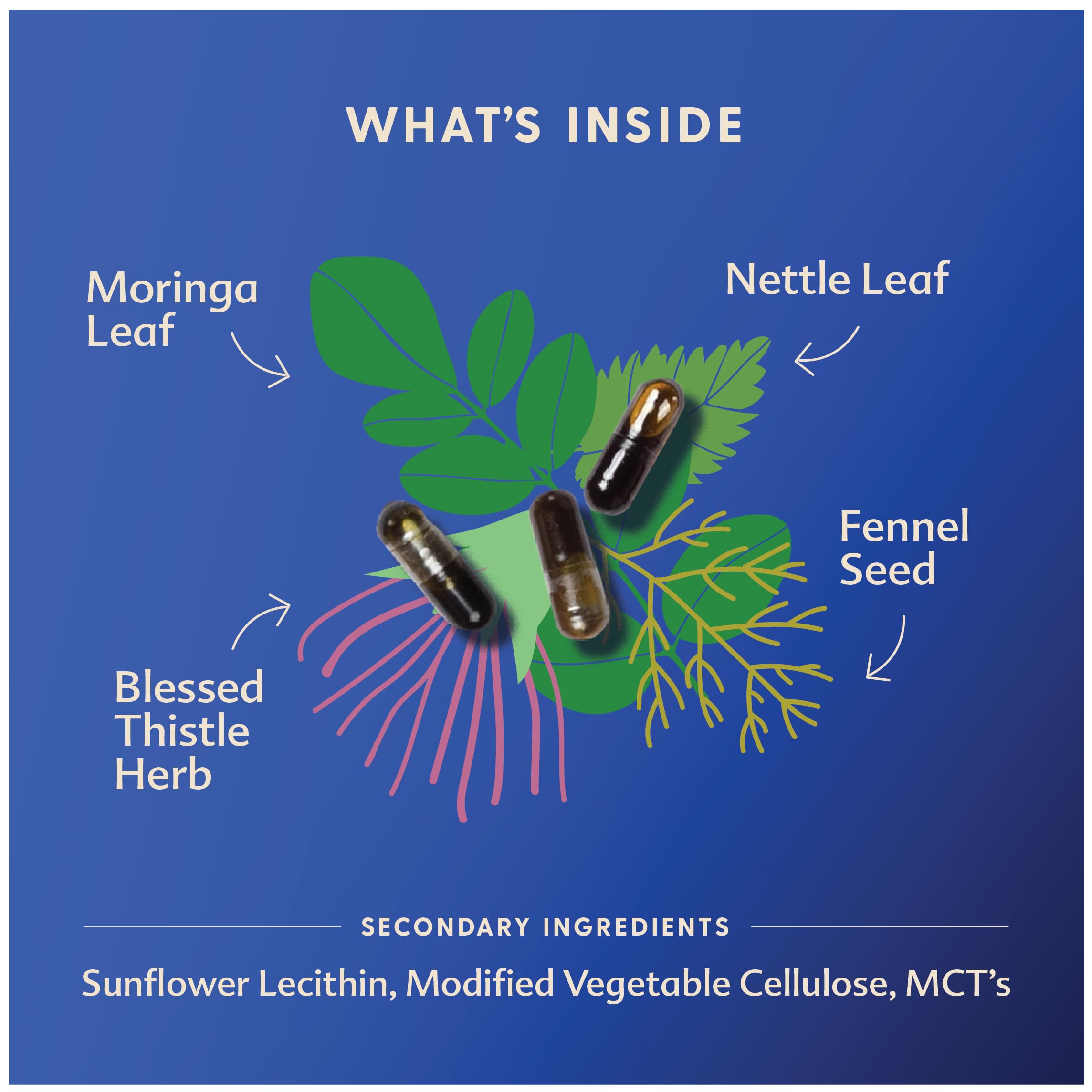 Liquid capsule format for More Milk Moringa