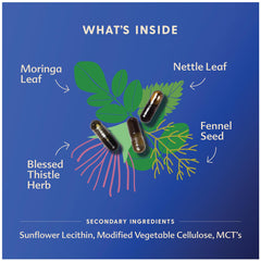 Liquid capsule format for More Milk Moringa