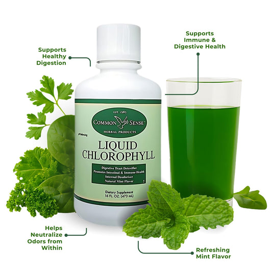 Side view of Liquid Chlorophyll 16oz mint bottle