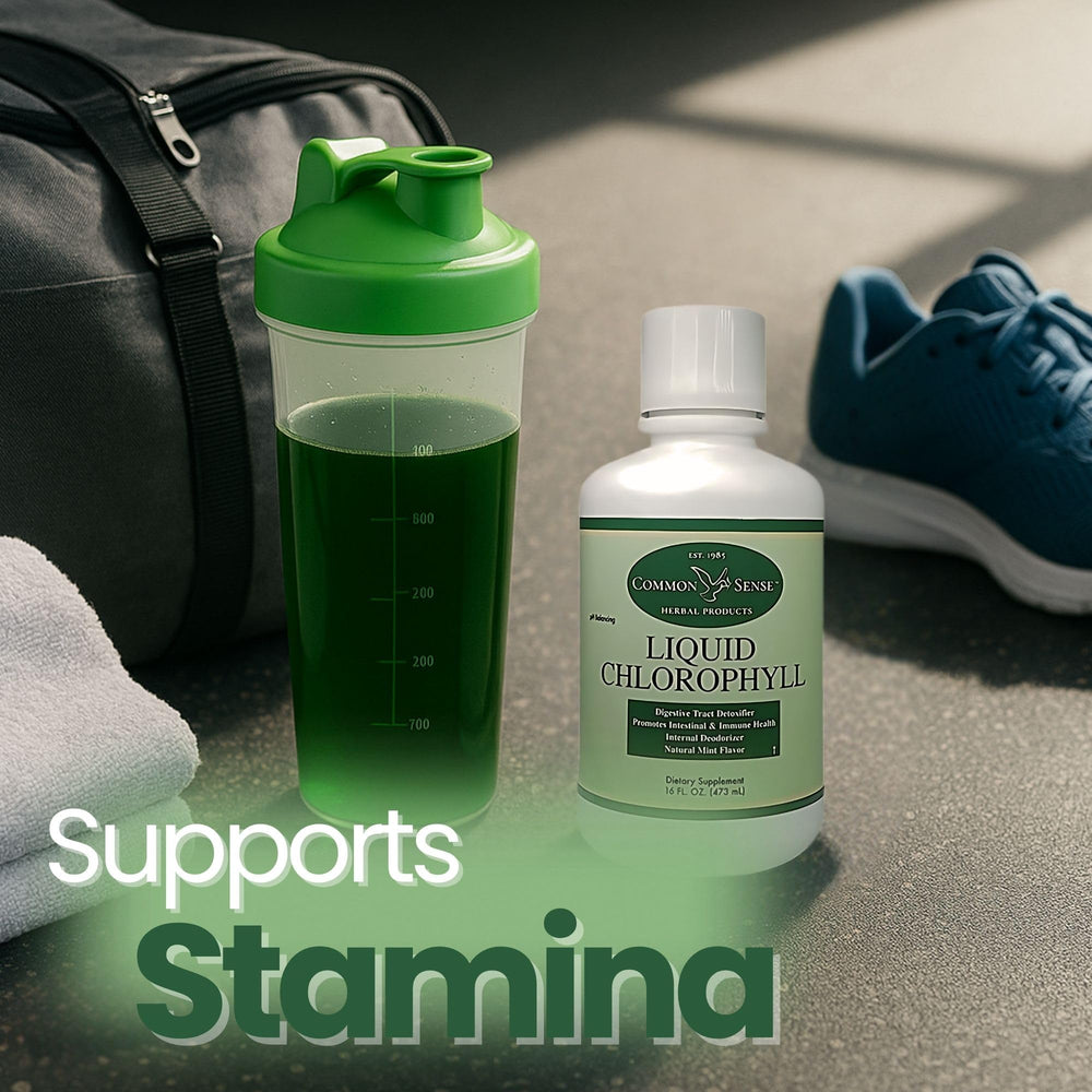 Liquid Chlorophyll 16oz packaging and box