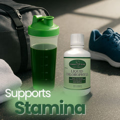 Liquid Chlorophyll 16oz packaging and box