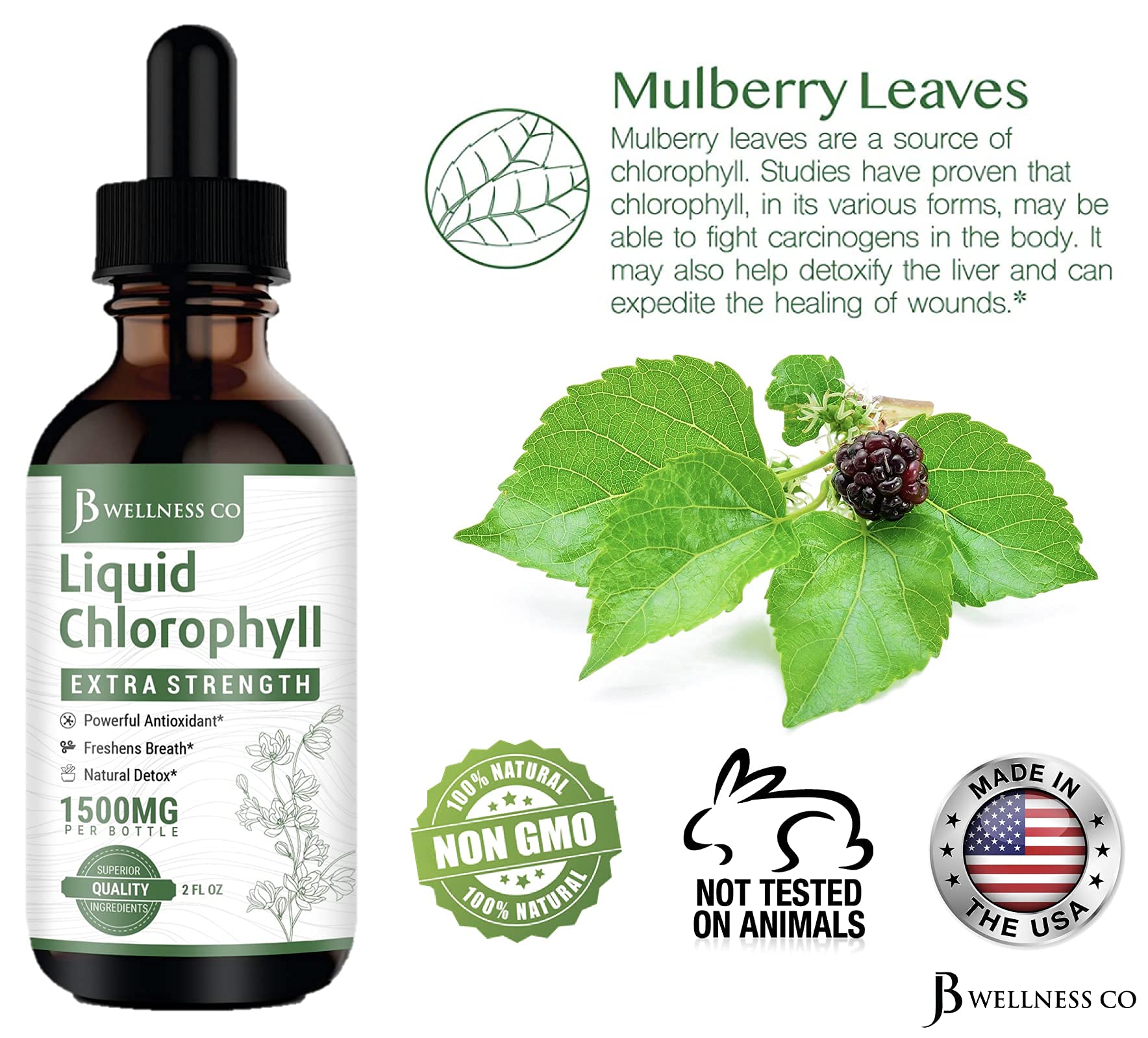 Back view of the Liquid Chlorophyll Drops 2-pack bottle