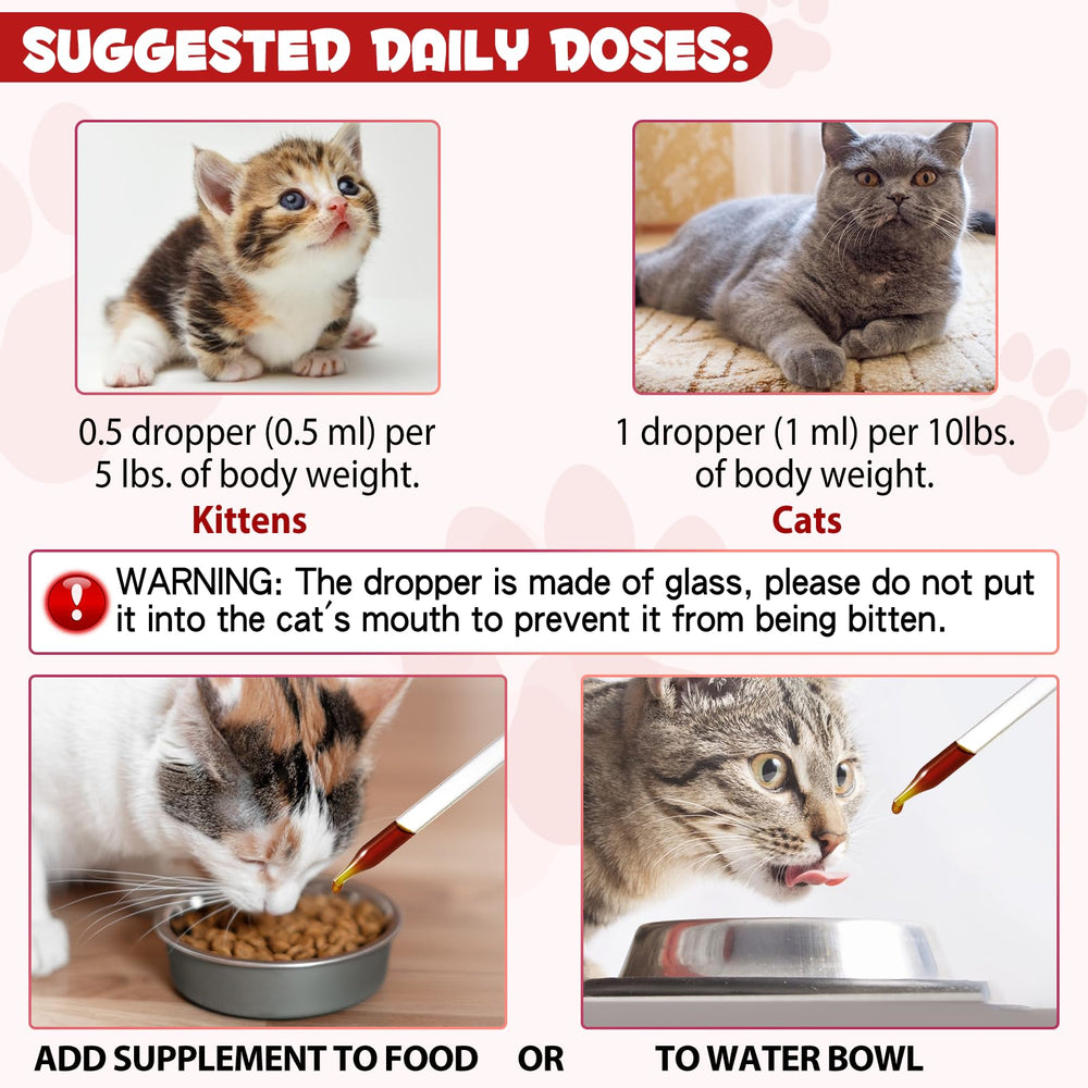 Close-up of cat vitamin supplement liquid iron bottle label