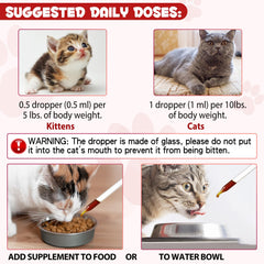 Close-up of cat vitamin supplement liquid iron bottle label