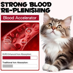 Bottle of liquid iron drops for cats with dropper