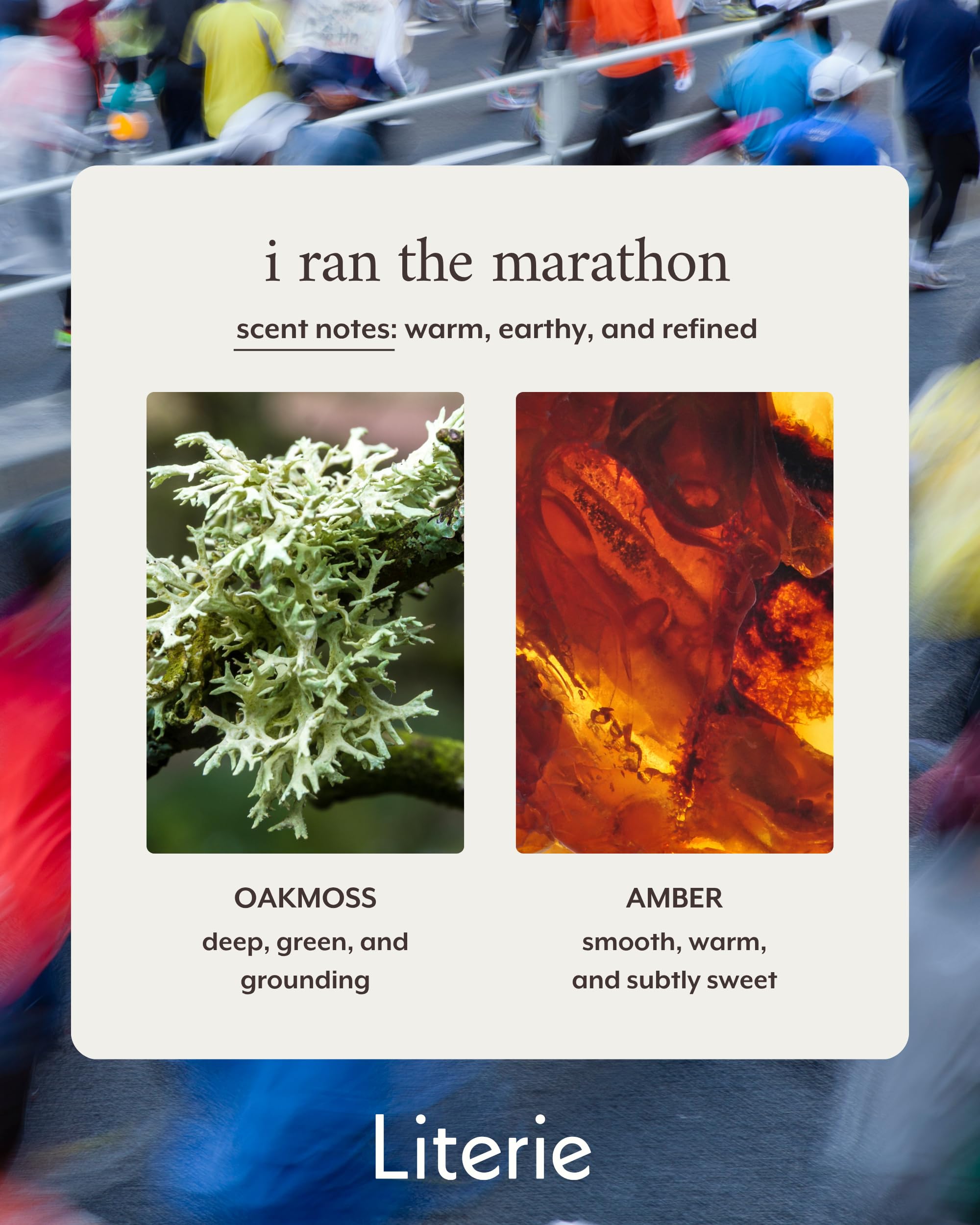 Close-up of Oakmoss and Amber fragrance on candle