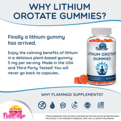 Gummies arranged on white background showing texture