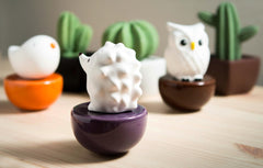 Lively Breeze gift-ready packaging signals a thoughtful aromatherapy gift.