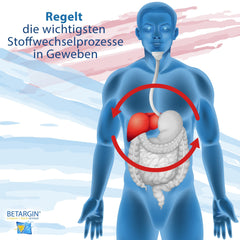 European style bottle with 10 x 10 ml bottles packaging