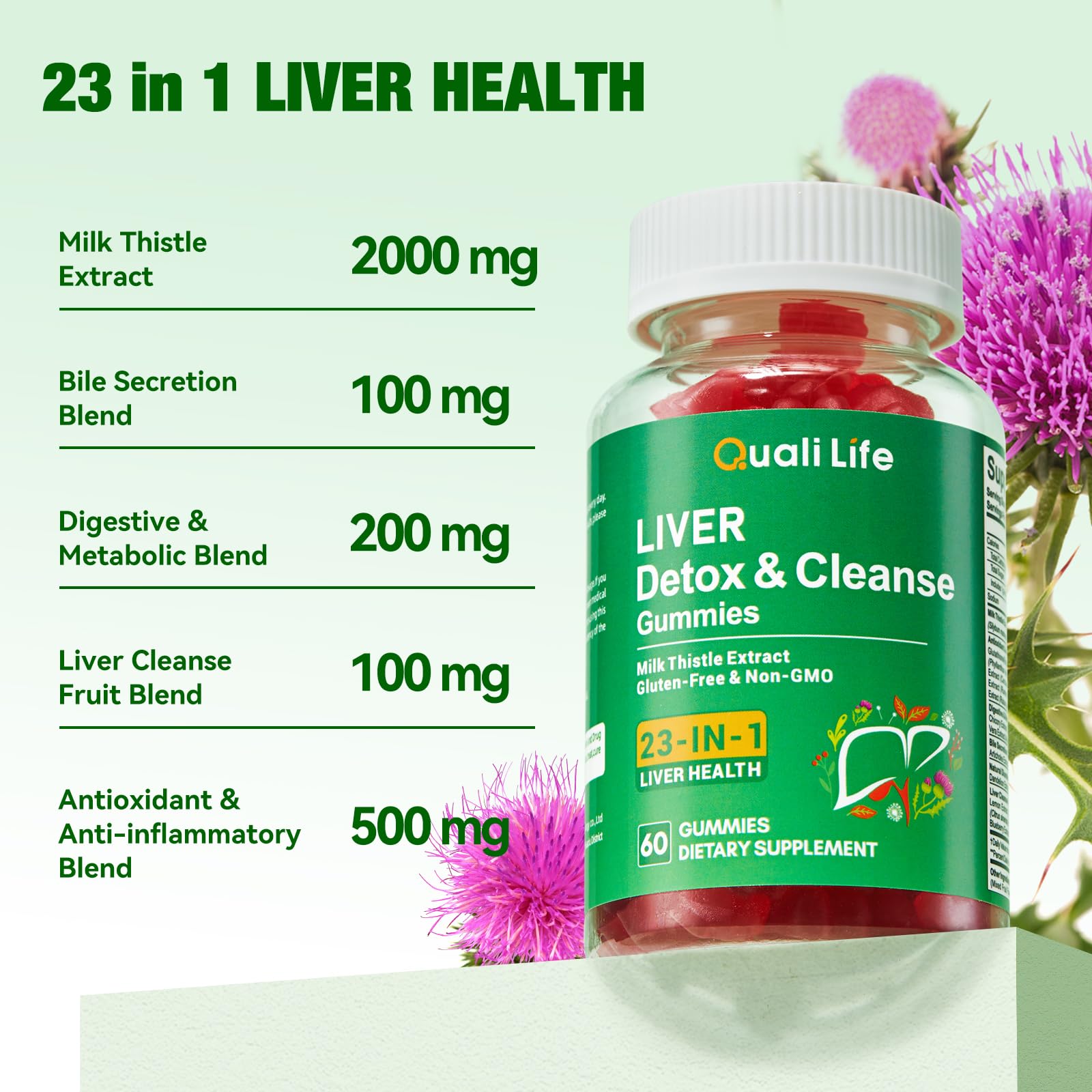 Concept image of liver health and digestion benefits