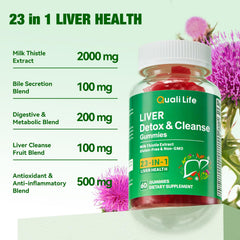 Concept image of liver health and digestion benefits