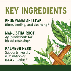 Amalaki fruit and Kalmegh among Ayurvedic ingredients