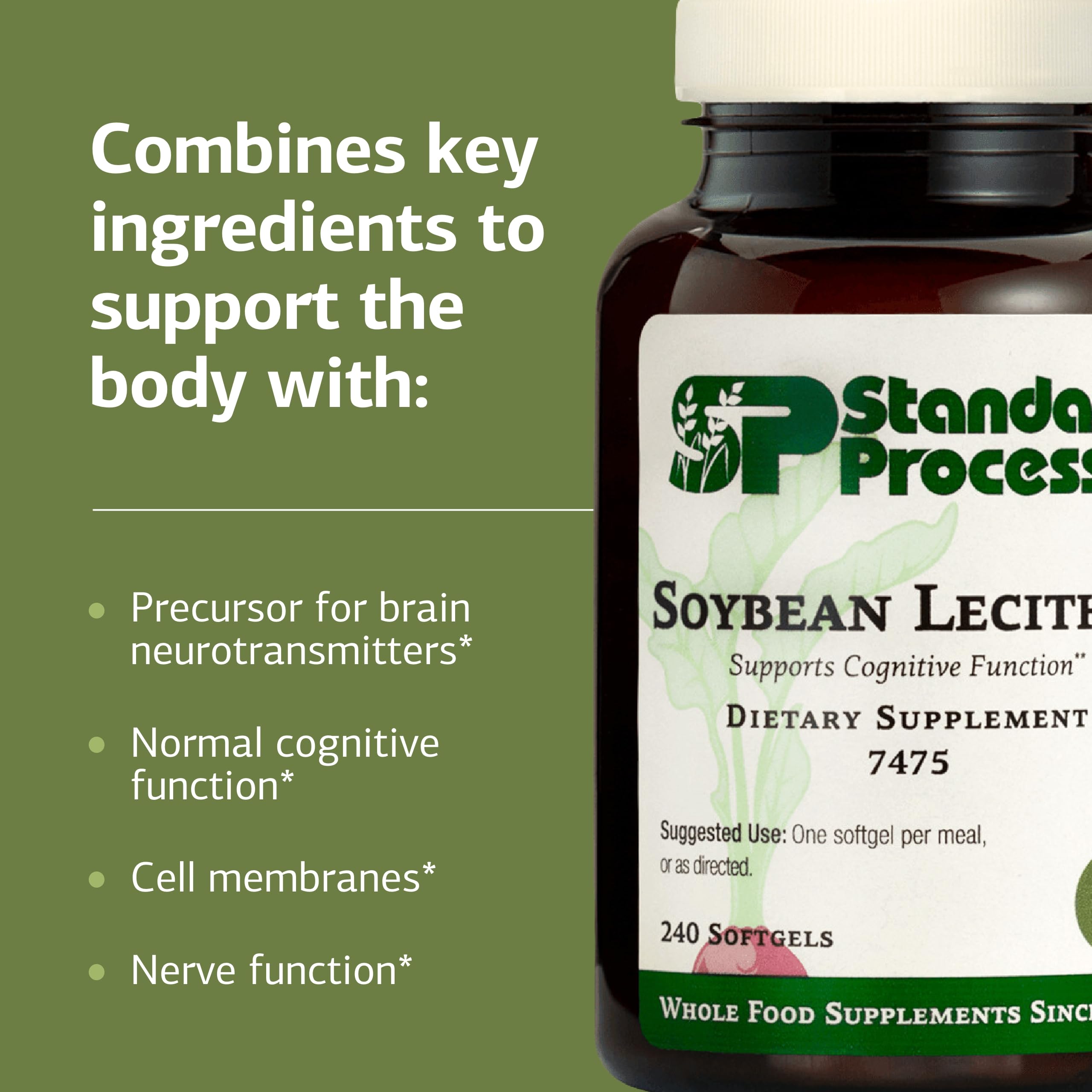 Liver function support with soy lecithin