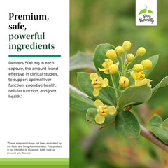Graphic illustrating liver health benefits of berberine