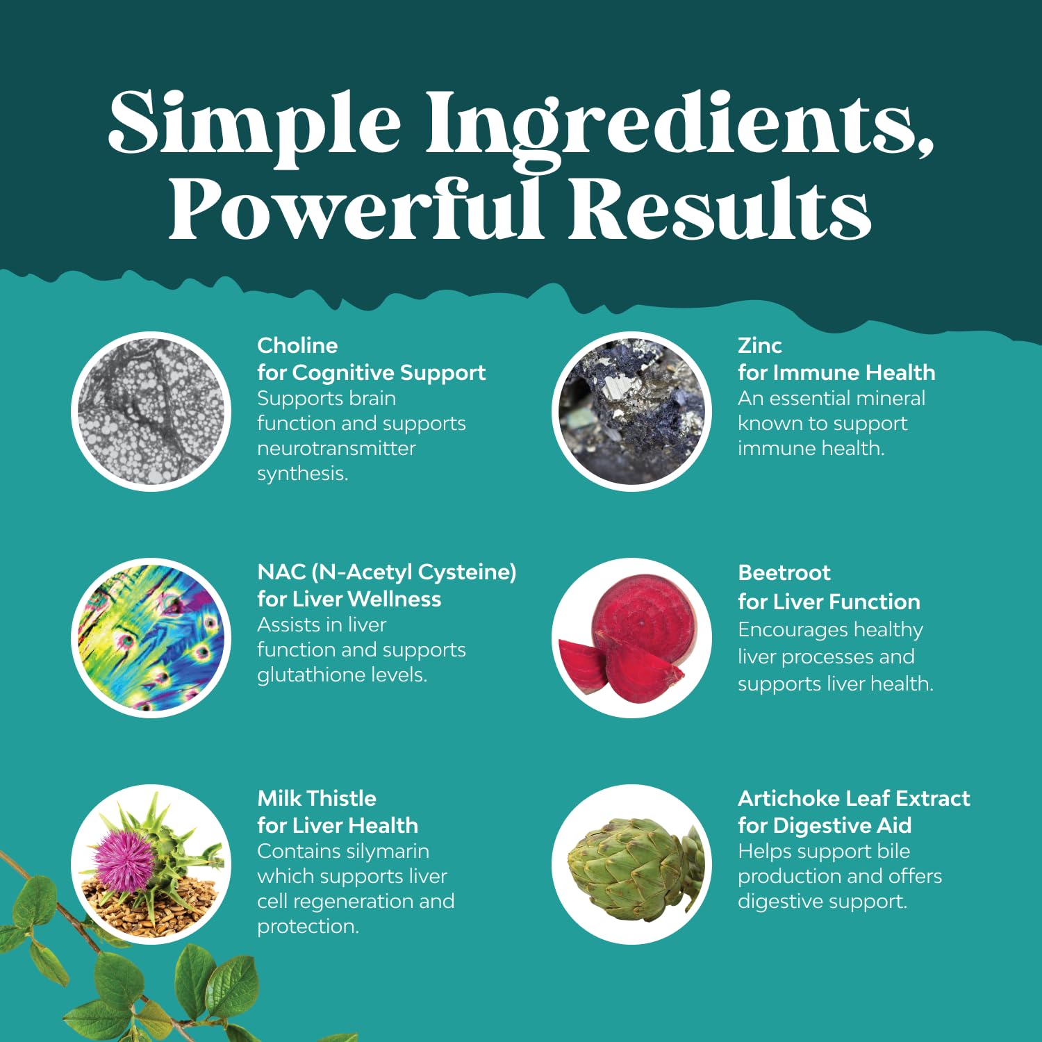 L-glutathione and other plant-based ingredients in NAC Liver Support