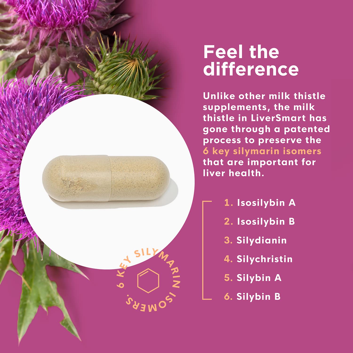 Dandelion and beetroot ingredients in LiverSmart