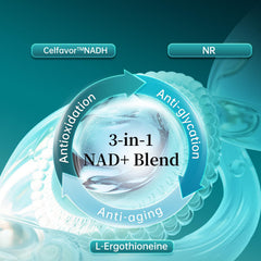 60-capsule LiveYes NAD+ bottle packaging
