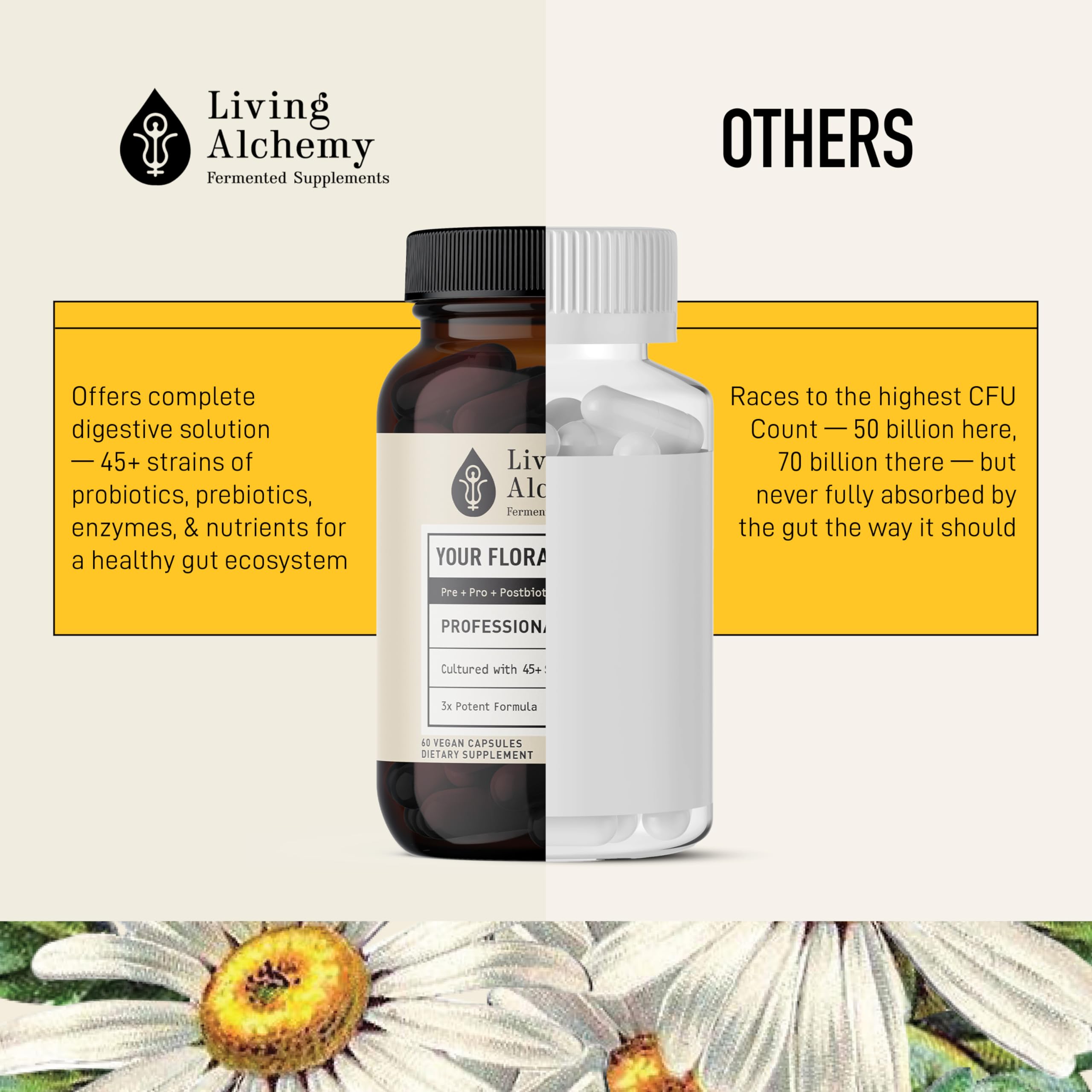 Ancient fermentation process powering wellness
