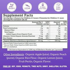 Llama Naturals organic elderberry extract visual highlighting natural ingredients