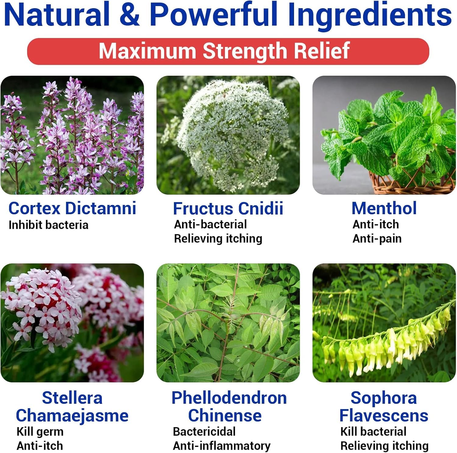 LMNOOP eczema cream jar full view highlights generous 7.05oz size