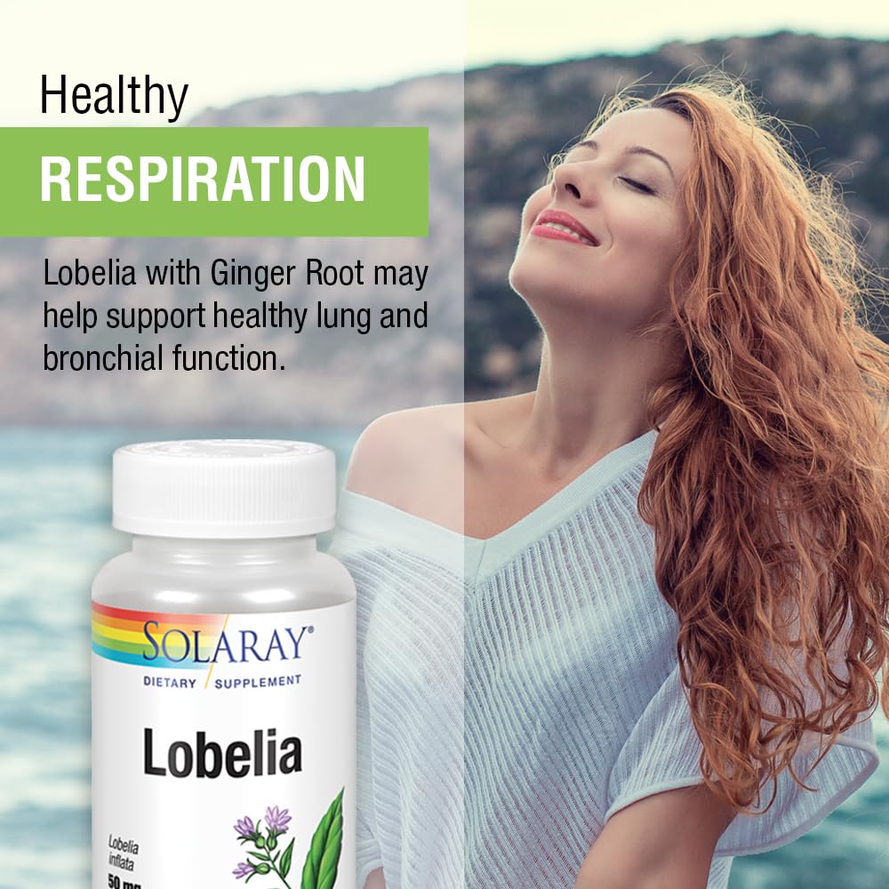 Lobelia aerial supplement with ginger for lung support
