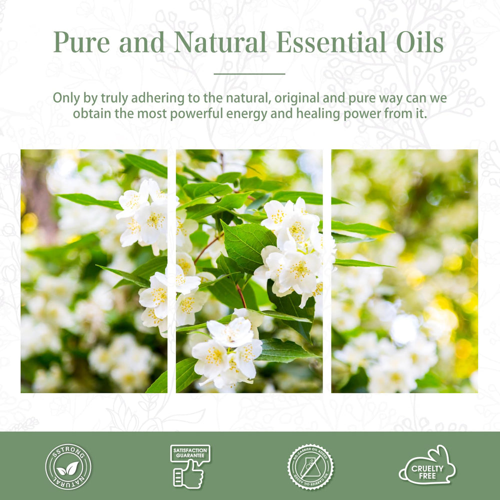 Long lasting jasmine fragrance