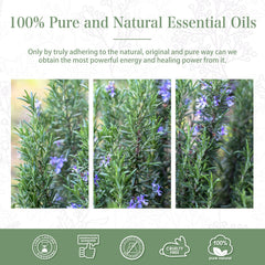 Long-lasting rosemary fragrance for aromatherapy