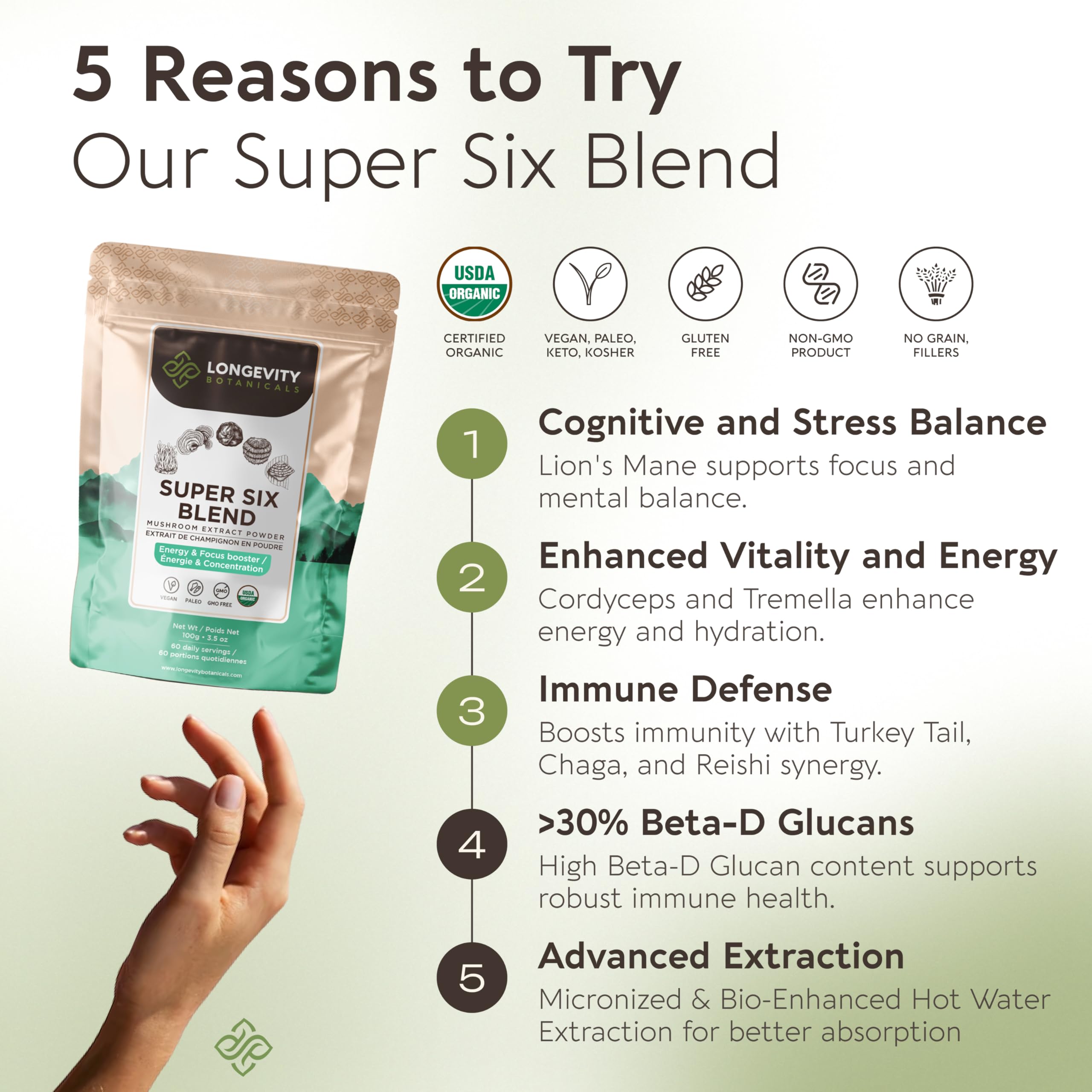 Chaga mushroom - Longevity Botanicals Super Six Organic Mushroom Blend 100g