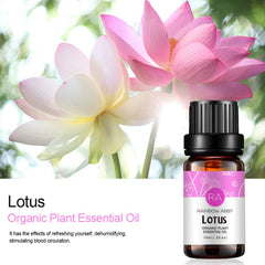 Ingredients and aroma profile of Lotus Essential Oil