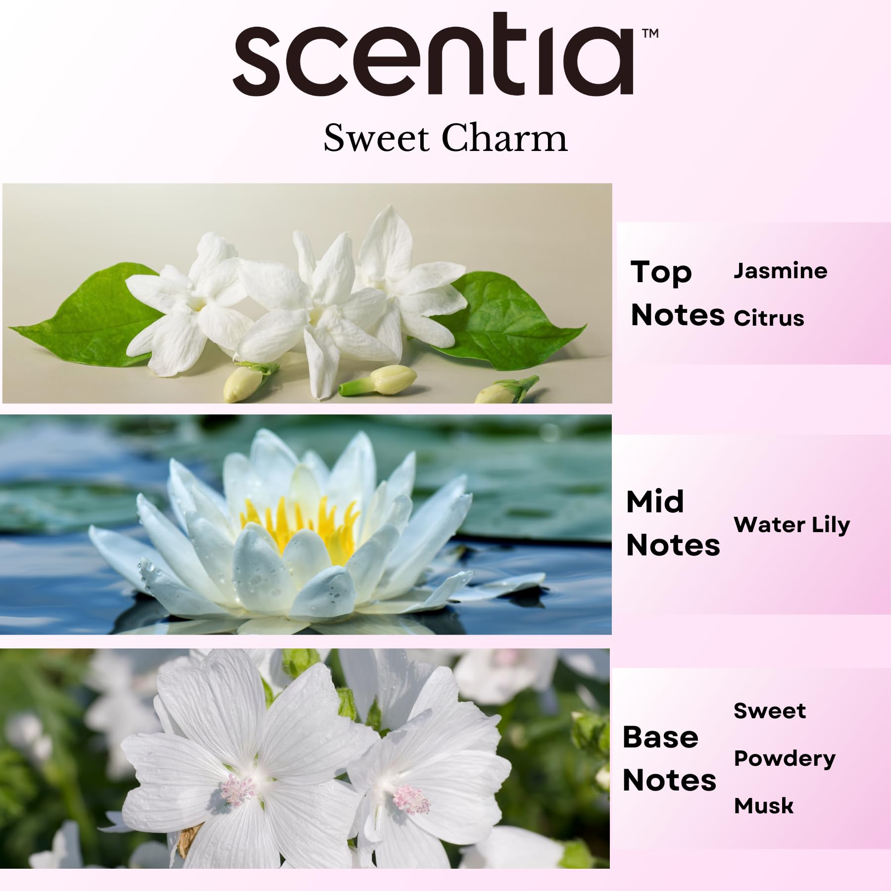 Diffuser with Love Collection fragrance oil