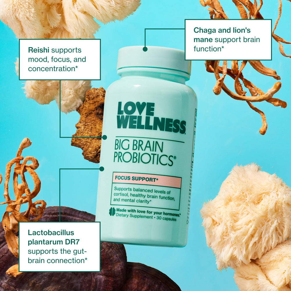 Reishi mushroom supporting mood and focus