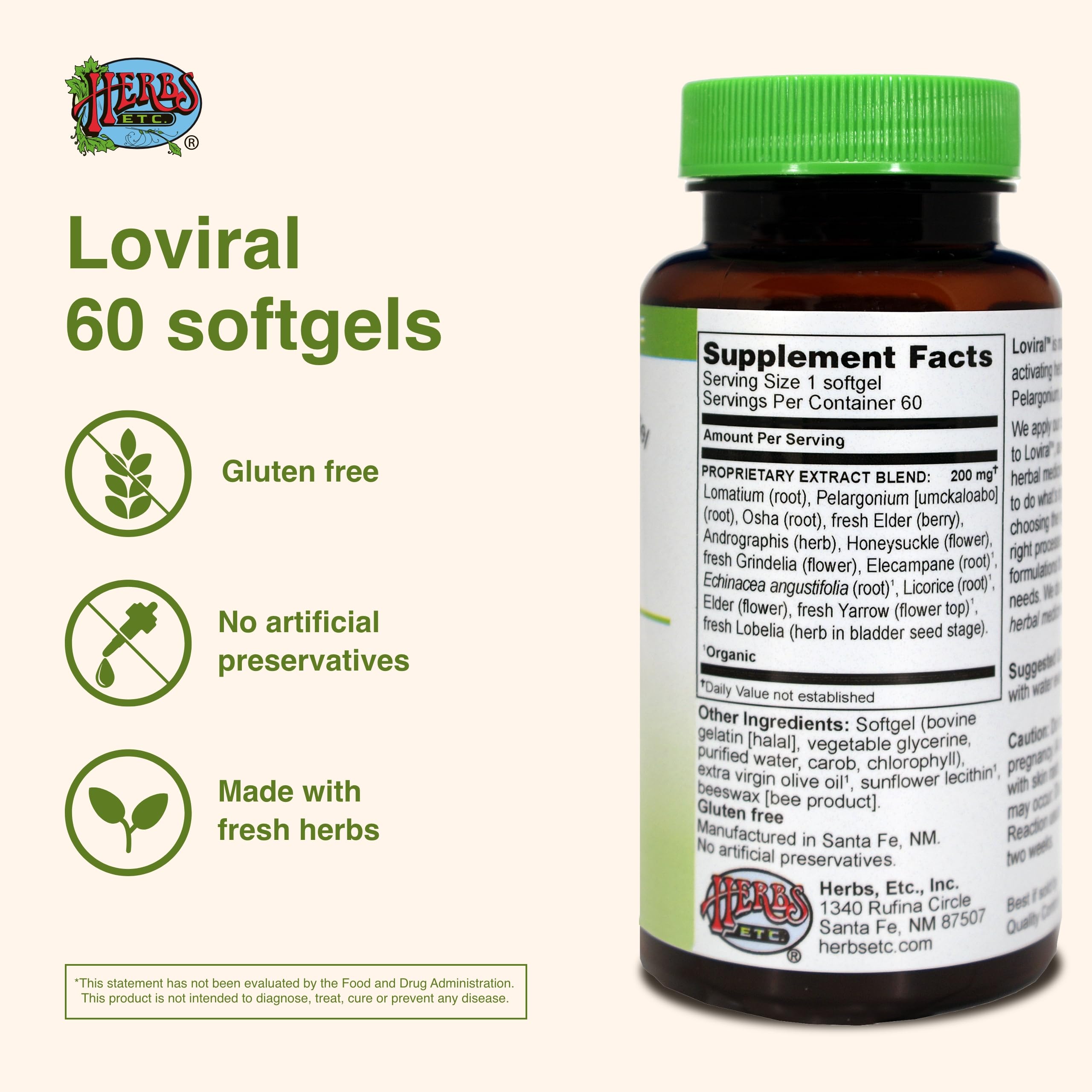 Herbal ingredients for immune support: echinacea angustifolia and elecampane