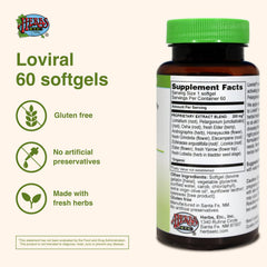 Herbal ingredients for immune support: echinacea angustifolia and elecampane