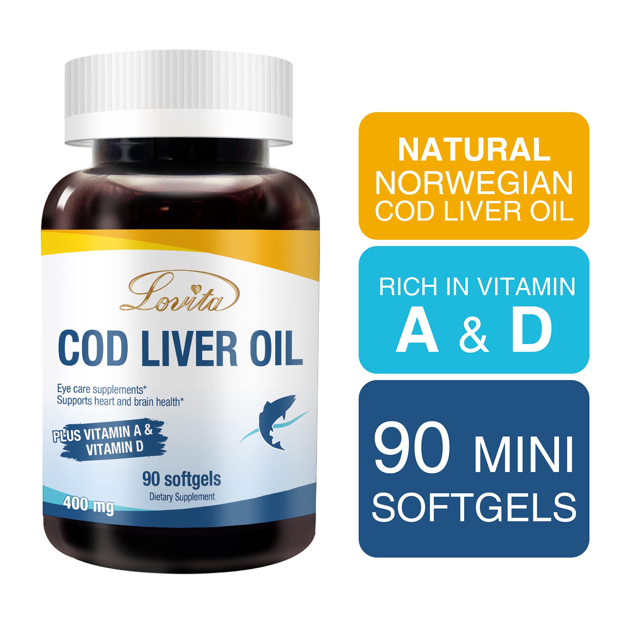 Illustration of heart, brain, and immune support benefits