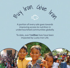 Social impact of purchasing Lucky Iron Fish® for undernourished communities