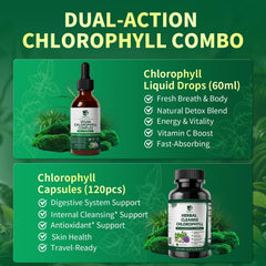 Chlorophyll Drops and Capsules daily dosing