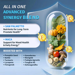 Ashwagandha and Reishi adaptogenic herbs for daily balance