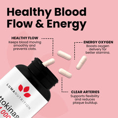 Vegan and gluten-free nattokinase formula