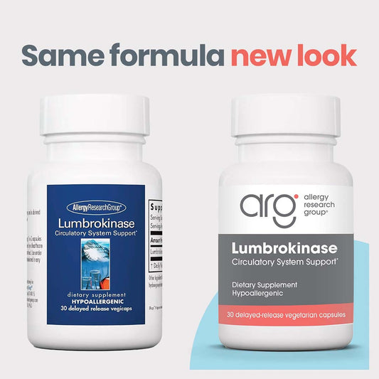 Circulatory system support concept with lumbrokinase infographic