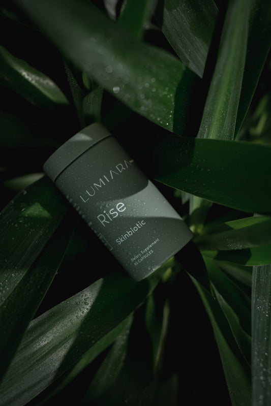 Close-up of Lumiara Rise capsules