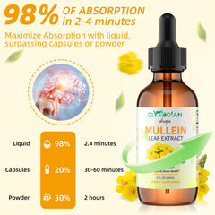 Lung cleanse and respiratory health support with mullein drops