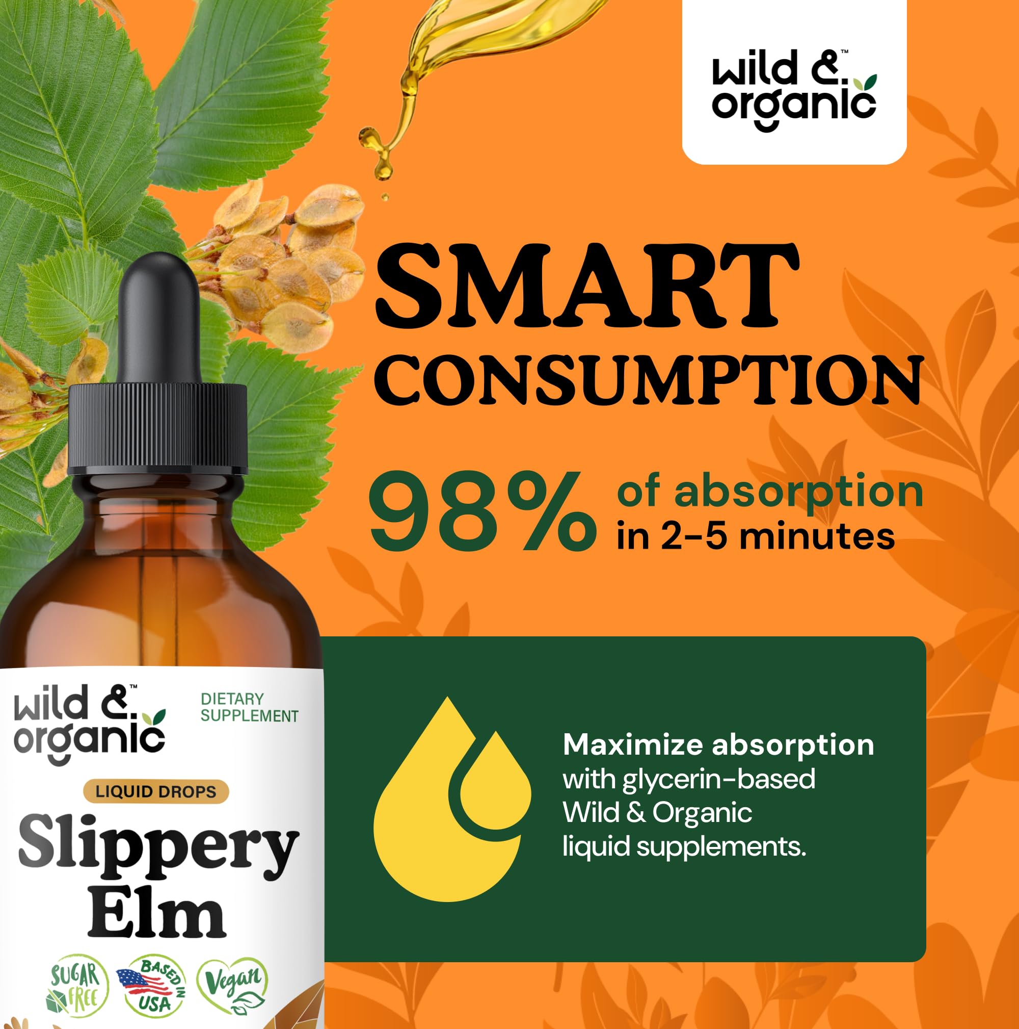 Lung and digestive support infographic