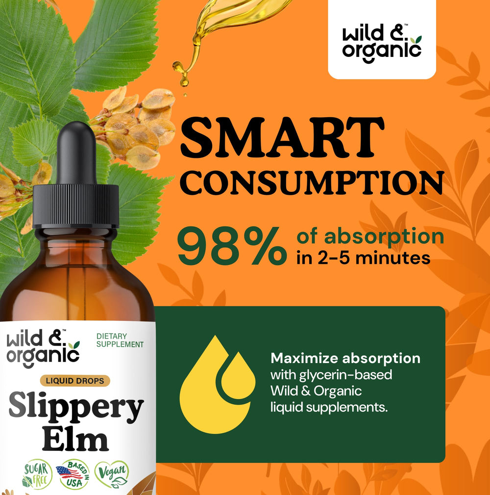 Lung and digestive support infographic