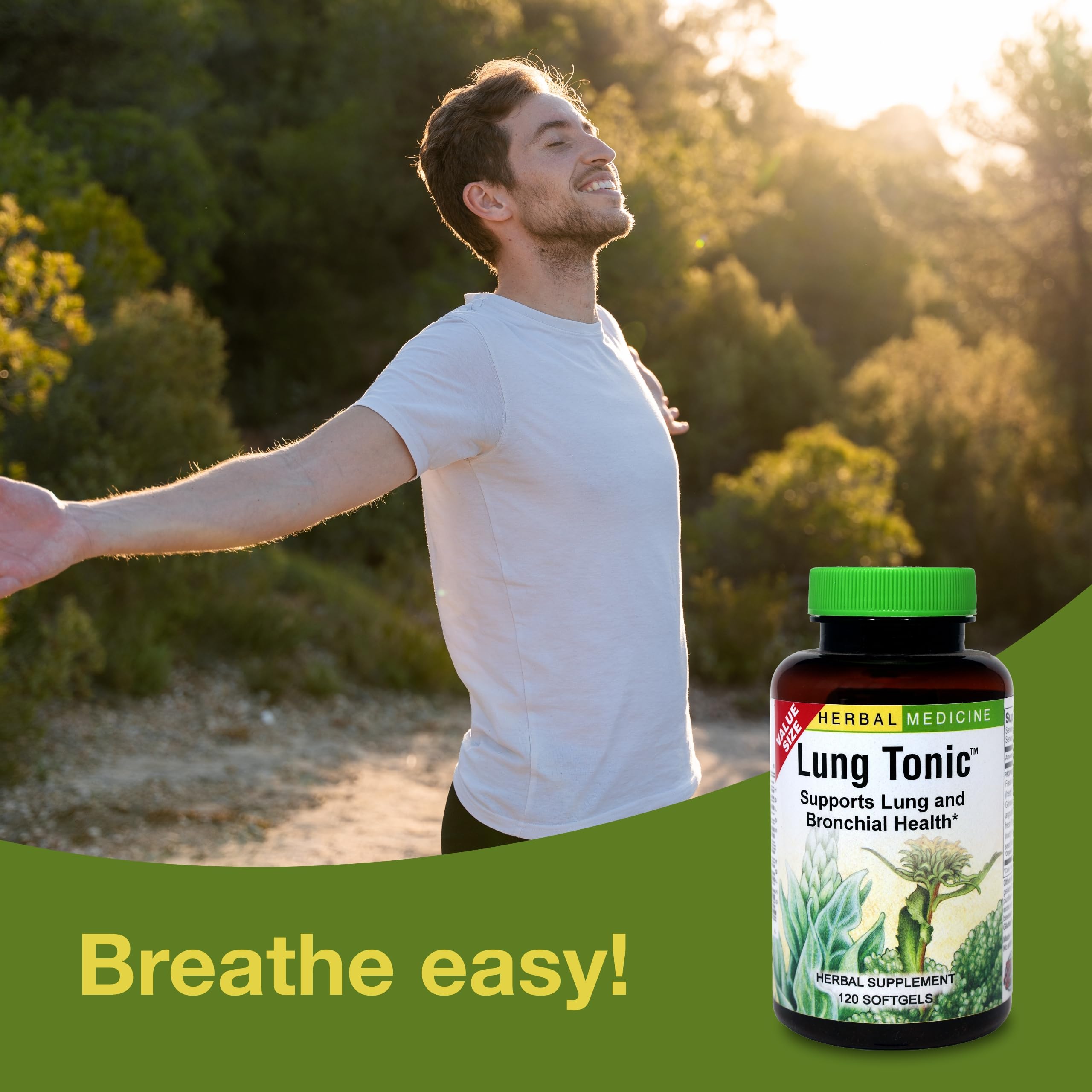 Organic Mullein leaves used in Lung Tonic