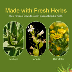 Ingredients label close-up for Lung Tonic