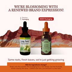 Lung Tonic ingredients featuring mullein leaf, horehound, and grindelia